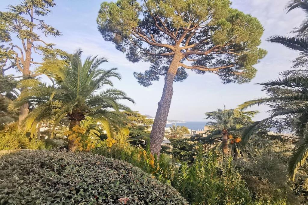 Appartement Nice Centre Vue Mer Avec Piscine Pour Famille, Couple D'Amis Pas De Groupes De Jeunes Autorises Екстериор снимка